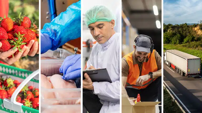 montaje retos alimentacion